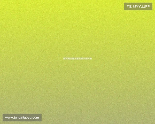 足球俱乐部引援资金使用方案分析与优化策略探讨