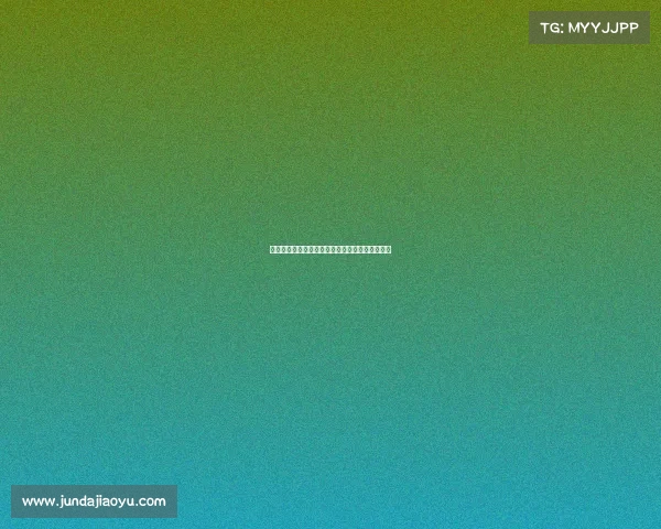 足球俱乐部引援资金使用方案分析与优化策略探讨